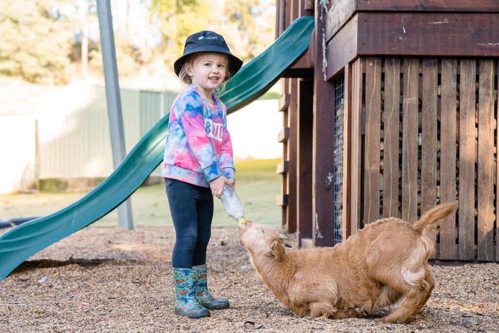 Cubby Care Coomera Goat Feeding